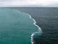 都是海水，為什麼太平洋，大西洋互不相容，水位還高出一節