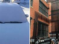 下雪後的環境真的讓人心情舒適，雪白的車子感覺變成「白胖白胖」的