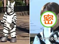 日本這個「動物出逃演習」真的太魔性了，畫風清氣可愛又搞笑，讓人忍不住大笑的